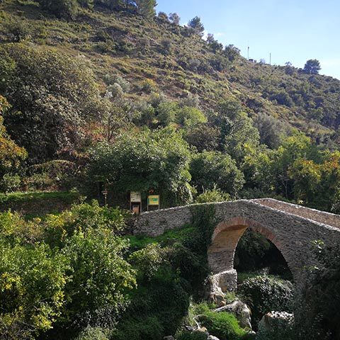 Salares Roman Bridge